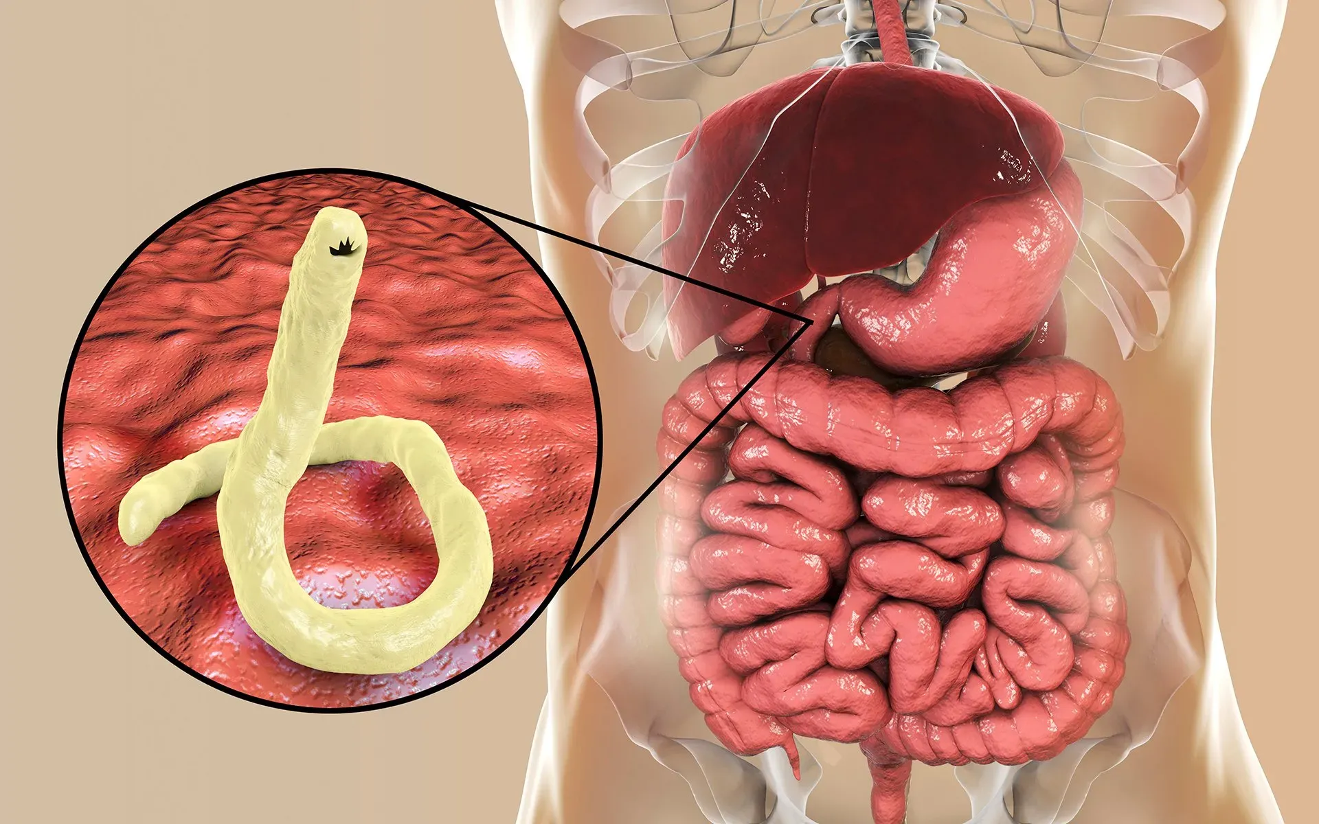 Detox care incelemeler - Türkiye - eczane - yorumlar - görüşler - bu nedir - fiyat - nereden alınır - resmi sitesi.